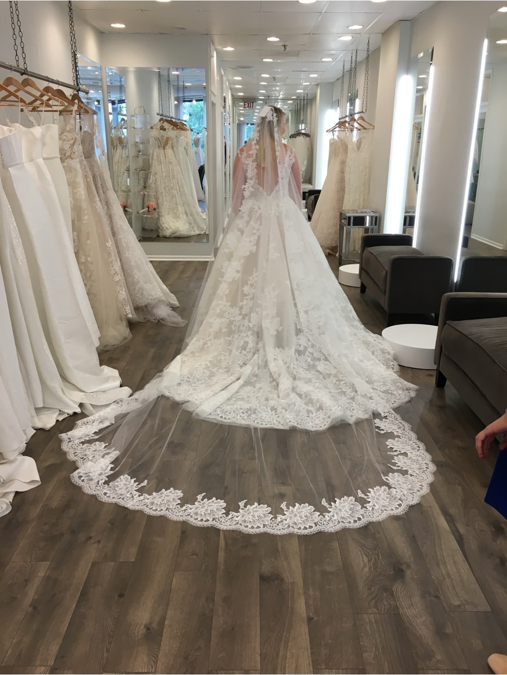 Ivory Lace Cathedral Bridal Veil with Scalloped Floral Edge